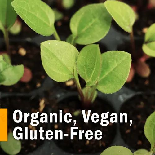 Organic Shepherd's Purse Liquid Extract | Reson