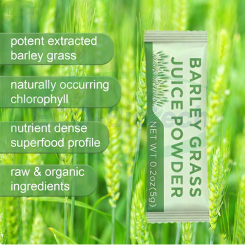 organic barley grass Powder oem Manufacturer