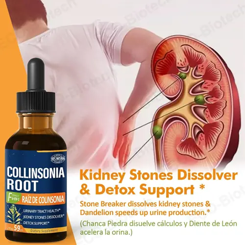 Wholesale Collinsonia (Stone Root) Drops | Urinary Tract Health