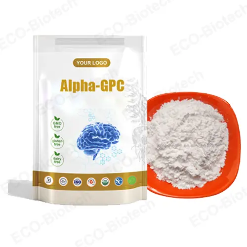 Alpha GPC Powder for Brain Health & Focus | OEM