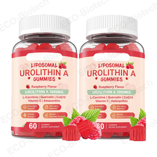 Liposomal Urolithin A Gummies for Cellular Support | Reson