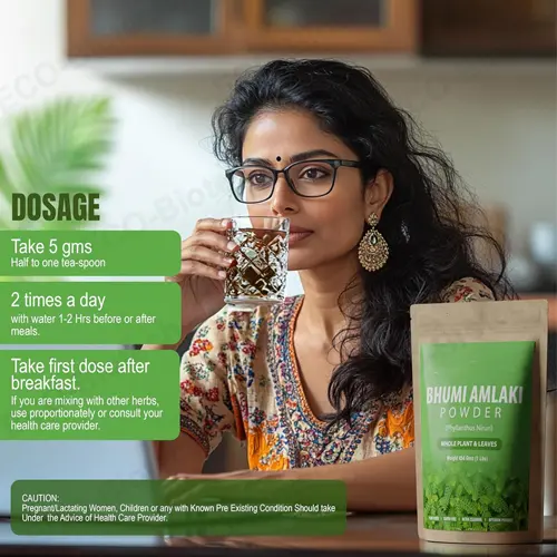 Pure Bhumi Amalaki Powder | Premium Wholesale Organic Grade