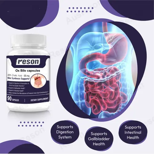 Ox Bile Capsules Non-GMO digestive support | Reson