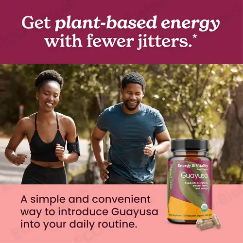 Guayusa Capsules: Nootropic Brain Supplements for Focus
