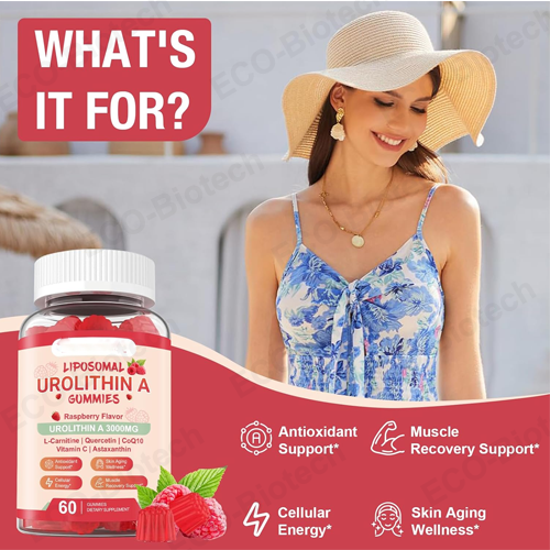 Liposomal Urolithin A Gummies for Cellular Support | Reson