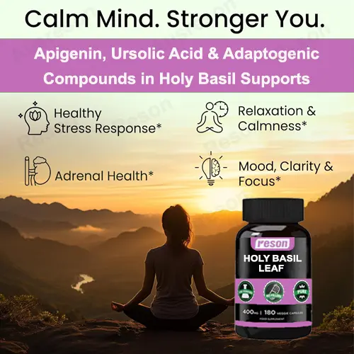 Holy Basil Leaf capsules GMP certified factory | Reson