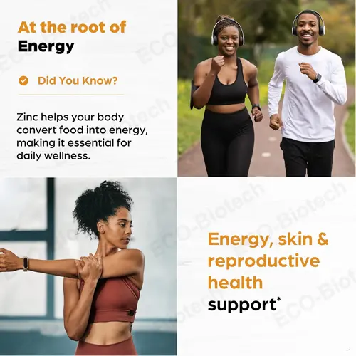 Best zinc capsules for immune support Manufacturer