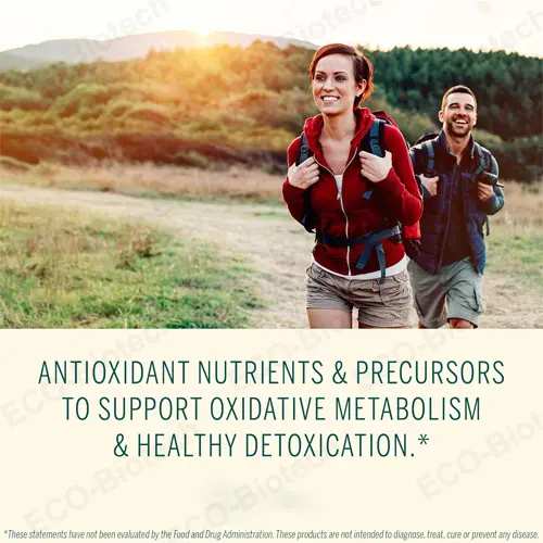 Sodium Alginate capsules: Rapid Relief from Acid Reflux and Heartburn