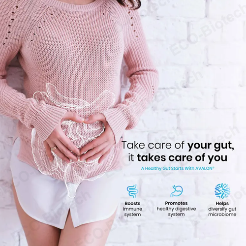 Pre & Probiotics Gummies | Gut Health Supplement | Reson