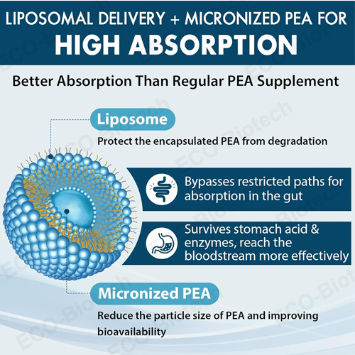 Liposomal Palmitoylethanolamide softgels |chronic pain relief | Reson