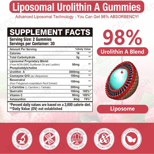 Liposomal Urolithin A Gummies for Cellular Support | Reson