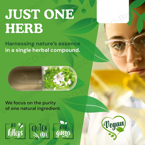 Bacopa Monnieri Capsules | Nootropic supplement | Reson