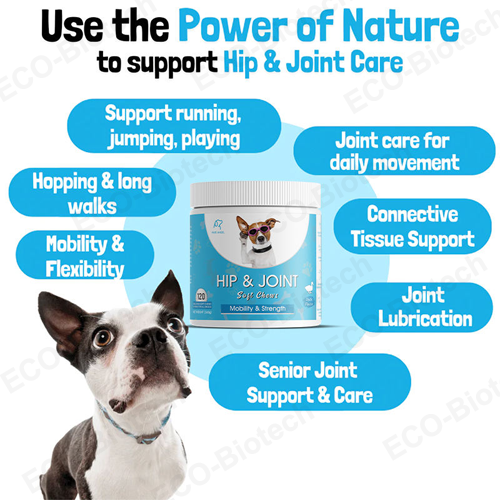 Hip & Joint Support for dogs supplement with Glucosamine chondroitin MSM