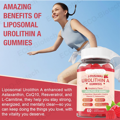 Liposomal Urolithin A Gummies for Cellular Support | Reson