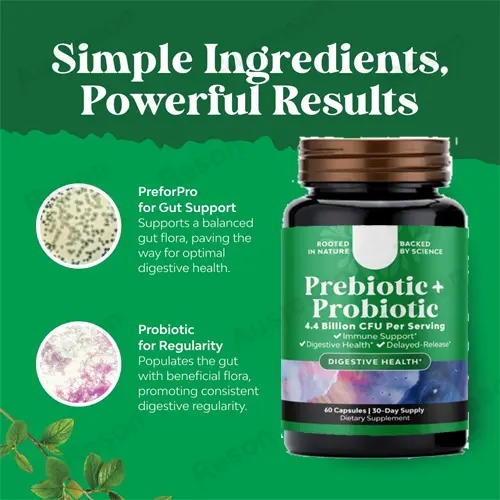 Reson Prebiotic Probiotic capsules: Gut Health Supplement
