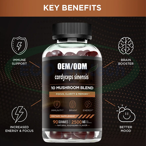 cordyceps sinensis Gummies for Focus and Energy Manufacturer