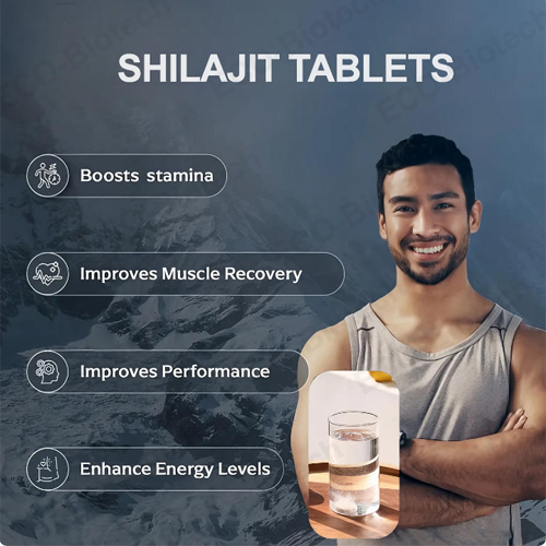 pure shilajit Sea Moss Effervescent Tablets supplement | Reson