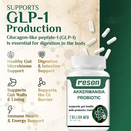 Akkermansia Probiotic capsules GMP / ISO certification | Reson