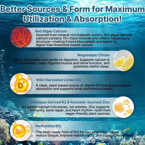 Liposomal Vitamin D3 K2 Calcium drops | Bone Health | Ausreson