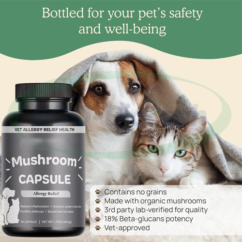 Mushroom Capsules Dogs & Cats Immune Support