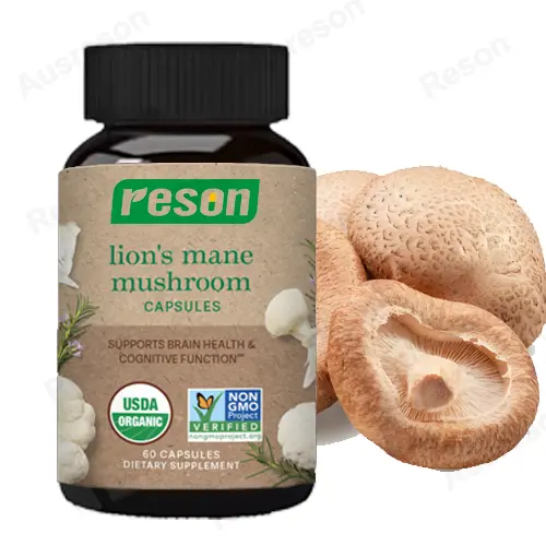Lions Mane mushroom capsules Brain Health Manufacturer