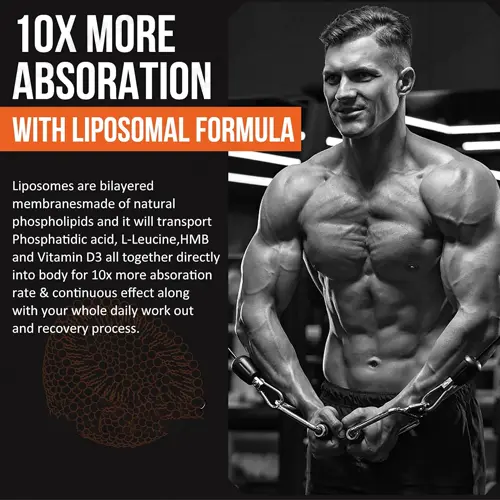 Custom Liposomal Phosphatidic Acid softgles High Bioavailability