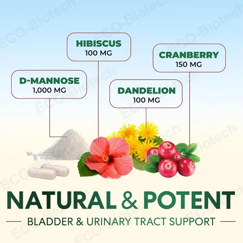 D-Mannose Capsules with Cranberry: Urinary tract health