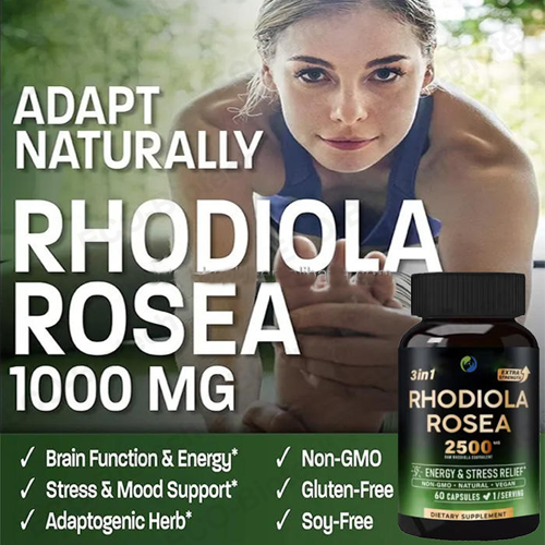 best 300mg rhodiola rosea extract tablets supplement