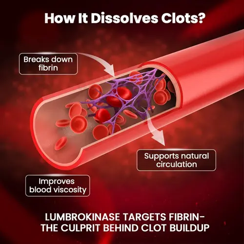 Lumbrokinase Enzymes Capsules for Energy Support, Digestion