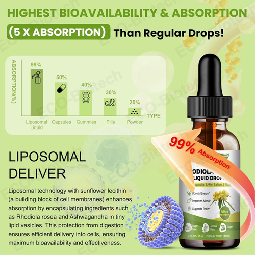 Liposomal Rhodiola Rosea drops | Stress & Energy Support | Reson