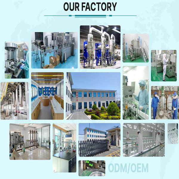 our factory
