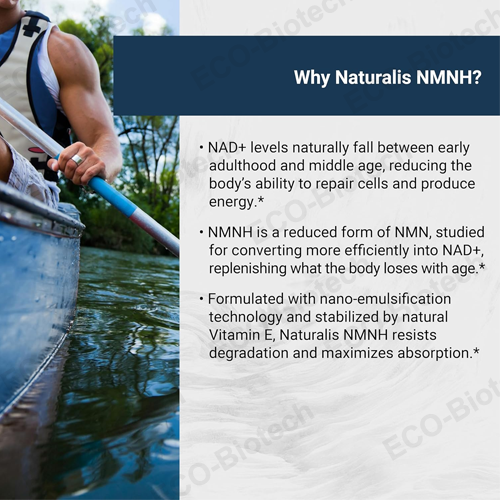 Ausreson liposomal nmnh capsules supplement | NAD+ Booster