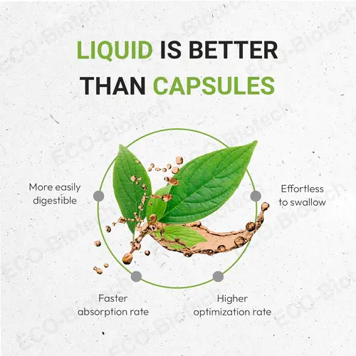 Bladderwrack Liquid Extract GMP certification | Reson