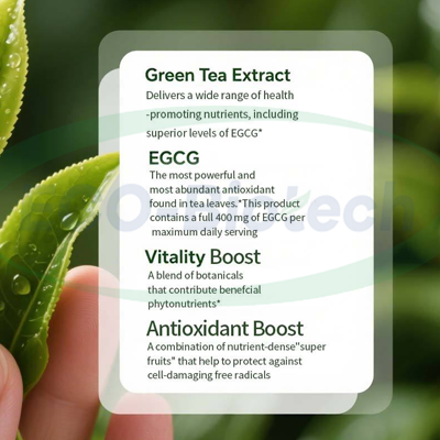 OEM supplier green tea fat burner Softgel capsules