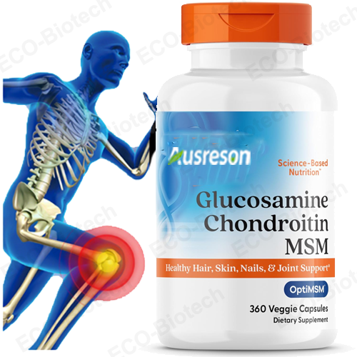Glucosamine Chondroitin MSM Capsules | Joint Support Supplement