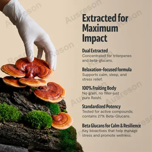 organic Reishi extract Capsules GMP Organic Certification