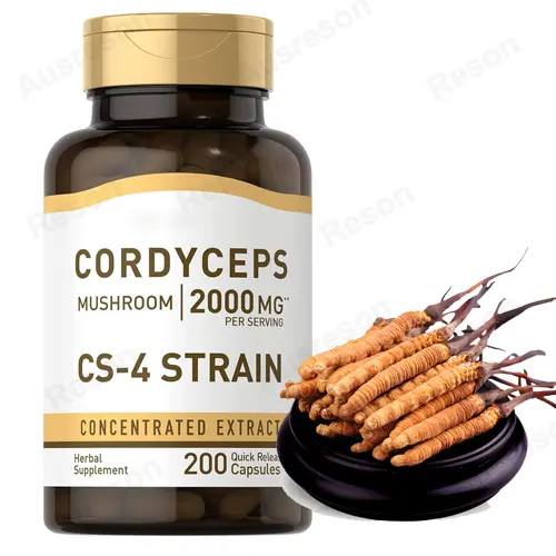 Cordyceps Capsules Energy Support Supplement | Reson