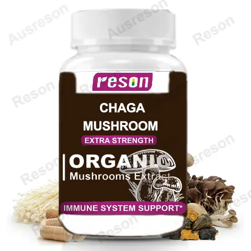 Chaga Mushroom Capsules Immune System Support Supplement