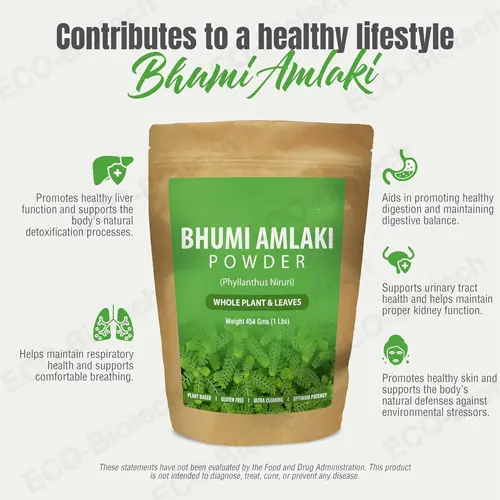 Pure Bhumi Amalaki Powder | Premium Wholesale Organic Grade