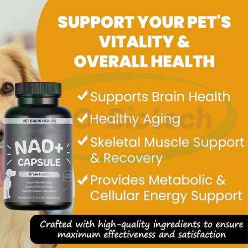 NAD+ Dogs Capsule Pet Health Care Supplements supplier