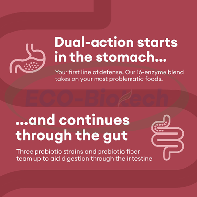 Digestive Enzyme Tablet Health Gut Probiotic Manufacturer