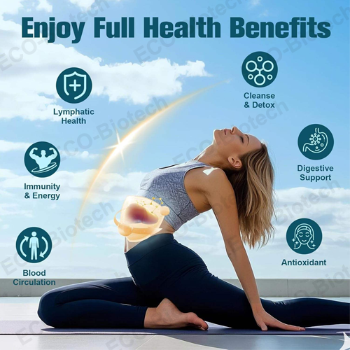 wholesale Liposomal Lymphatic Drainage Drops support detox