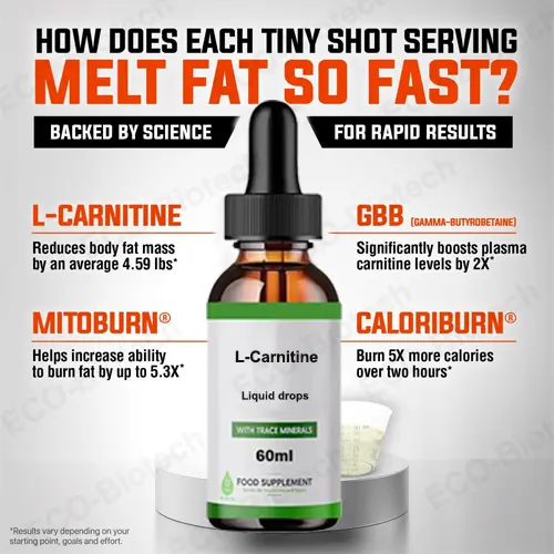 Sugar-Free L-Carnitine liquid drops | Reson