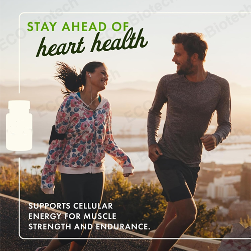 Propionyl L-Carnitine PLCAR capsules | Nitric Oxide & Blood Flow