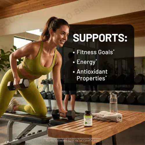 Green Coffee Bean Extract capsules with 50% Chlorogenic Acids