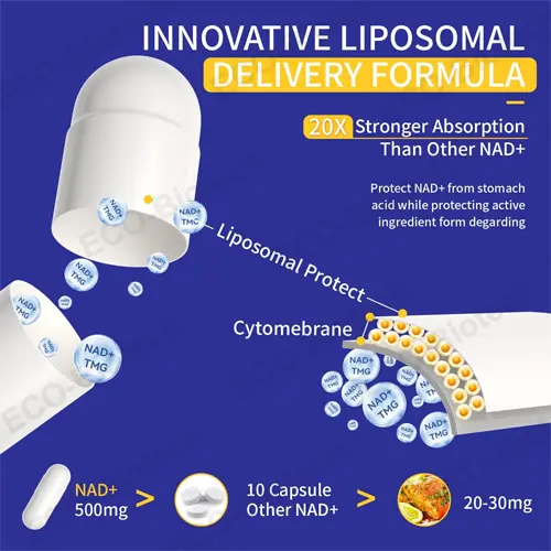 Liposomal NMN Capsules with Trans-Resveratrol | NAD+ Booster | OEM