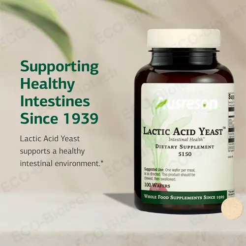 Lactic acid yeast for digestive health & bloating | Reson