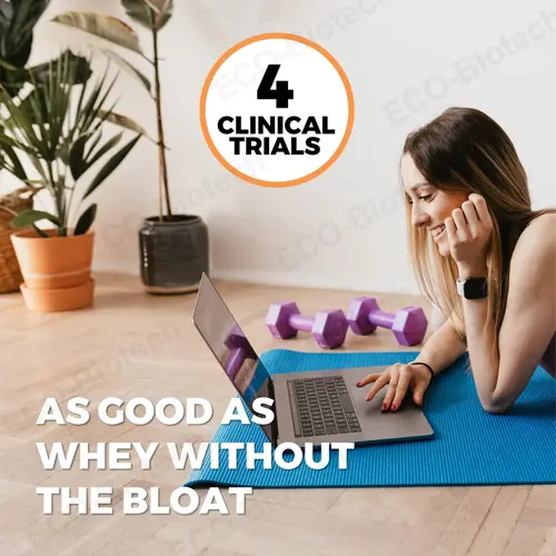 Non-GMO Vanilla Rice Protein powder | Reson