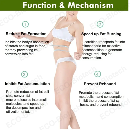 green tea extract Gummies with EGCG feor weight loss supplier