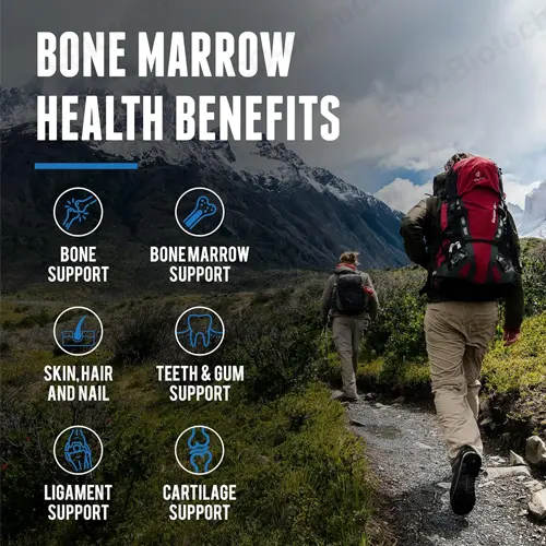 Grass Fed Beef Bone Marrow capsules supplier